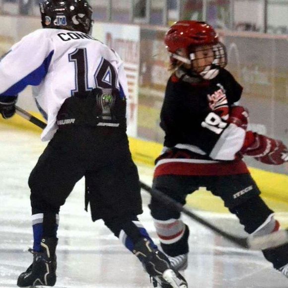 Meet your Posher, James - Picture 1 of 1